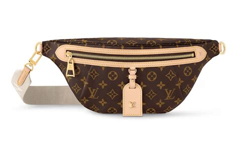 louis Vuitton Monogram high rise